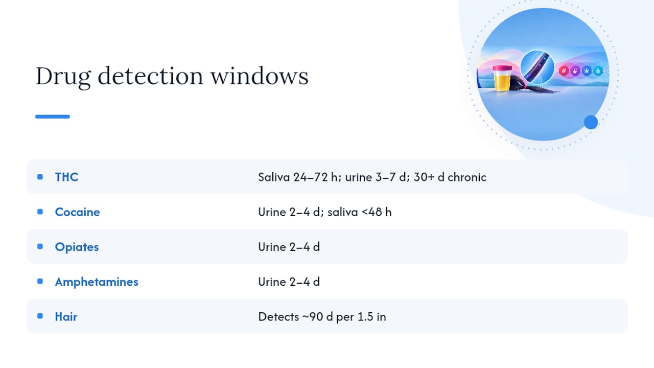 How Long Do Drugs Stay Detectable in Your System? — overview diagram