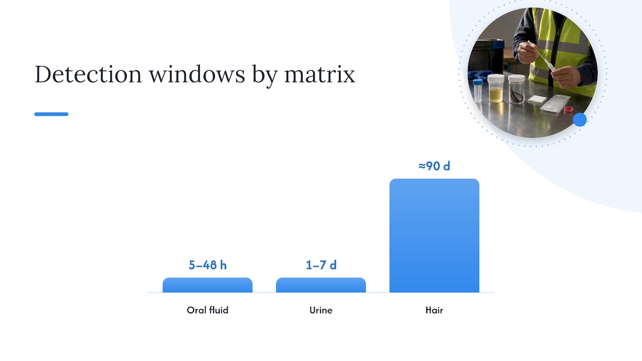 How do detection windows compare across oral fluid, urine, and hair? — overview diagram