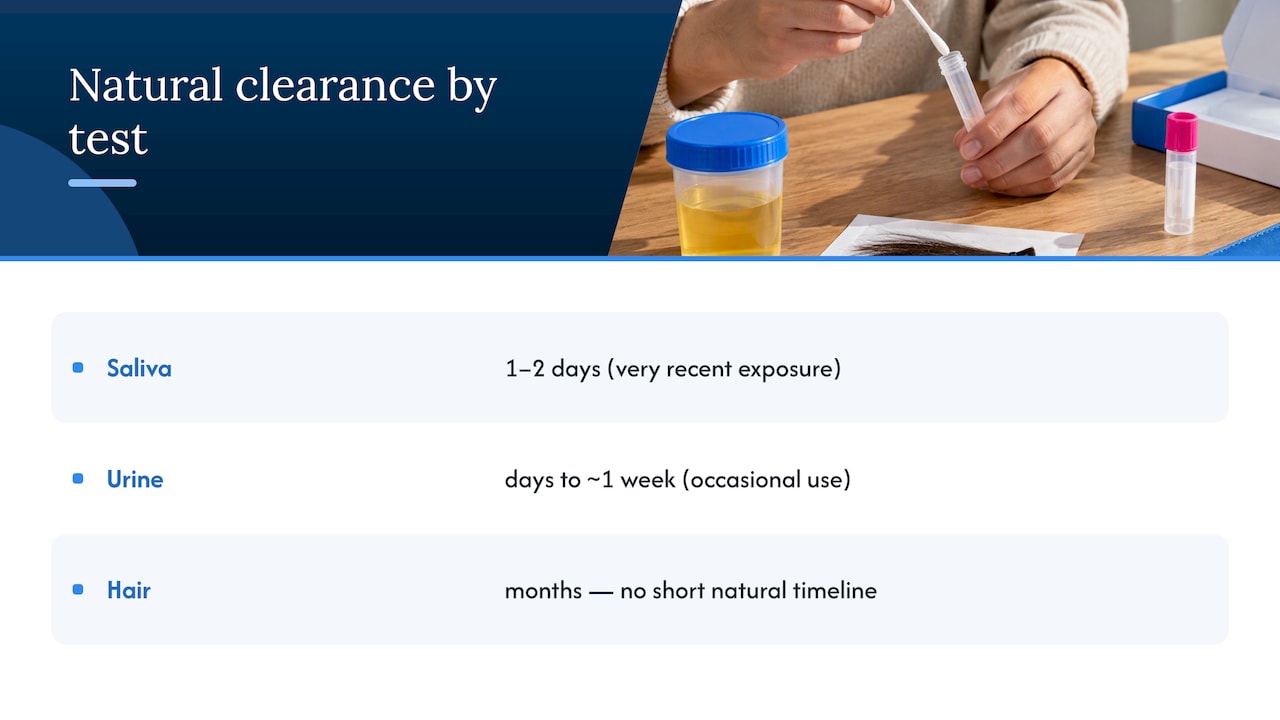 How Long Natural Detoxification Actually Takes — overview diagram