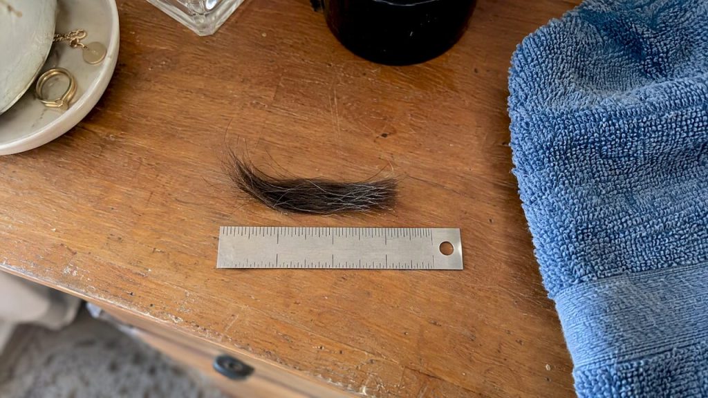 Hair sample beside a ruler on a dressing table