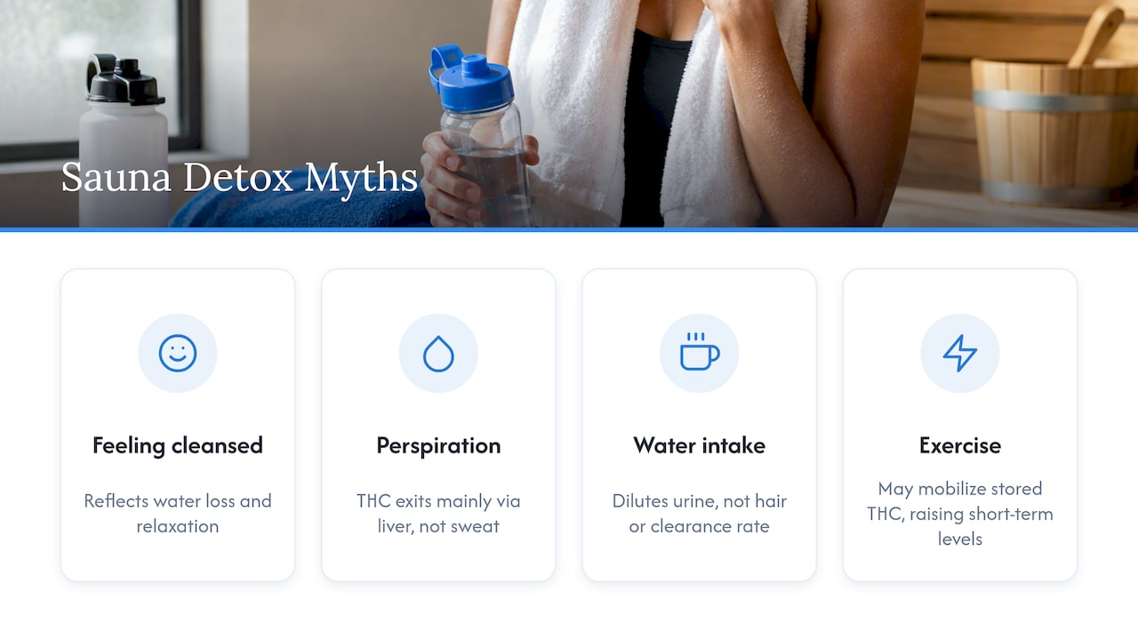 Common myths about sauna detox for THC — overview diagram