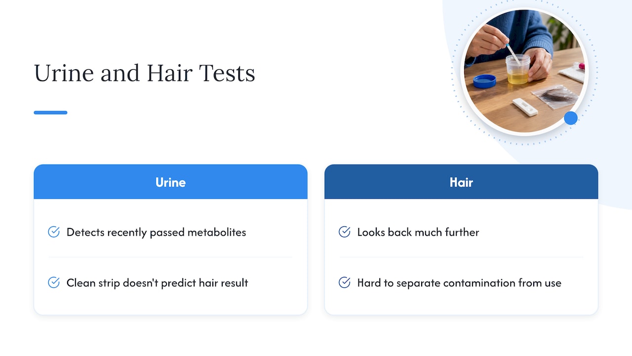 Urine and hair test look-back differences